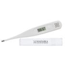 Electronic Thermometer